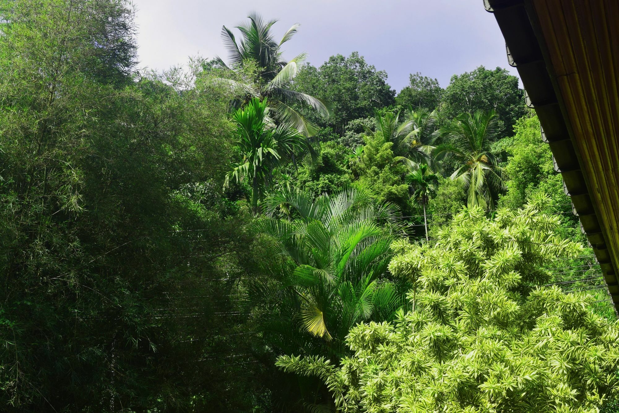 Avaana By Springhills Hotell Kandy Eksteriør bilde