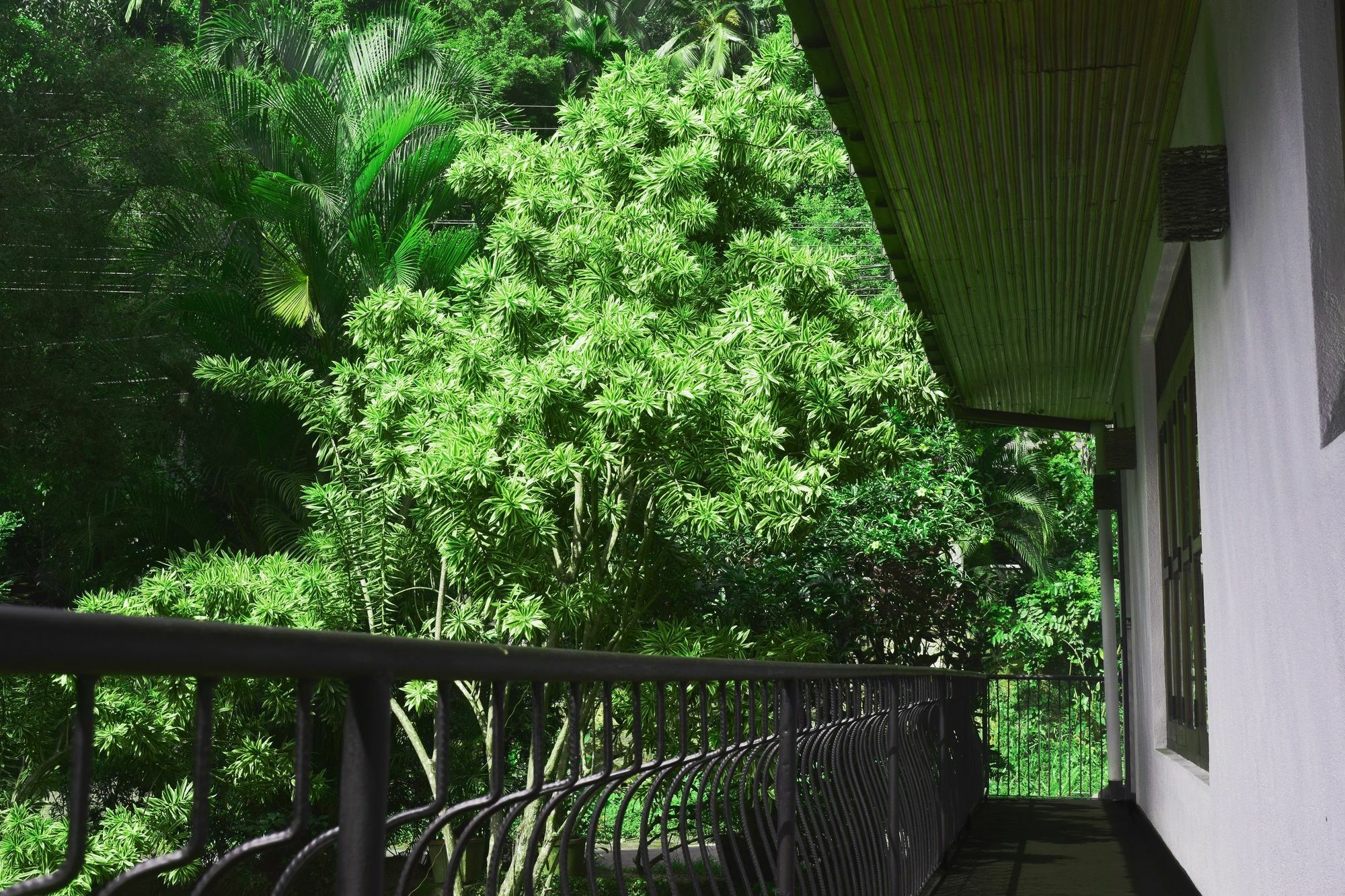 Avaana By Springhills Hotell Kandy Eksteriør bilde