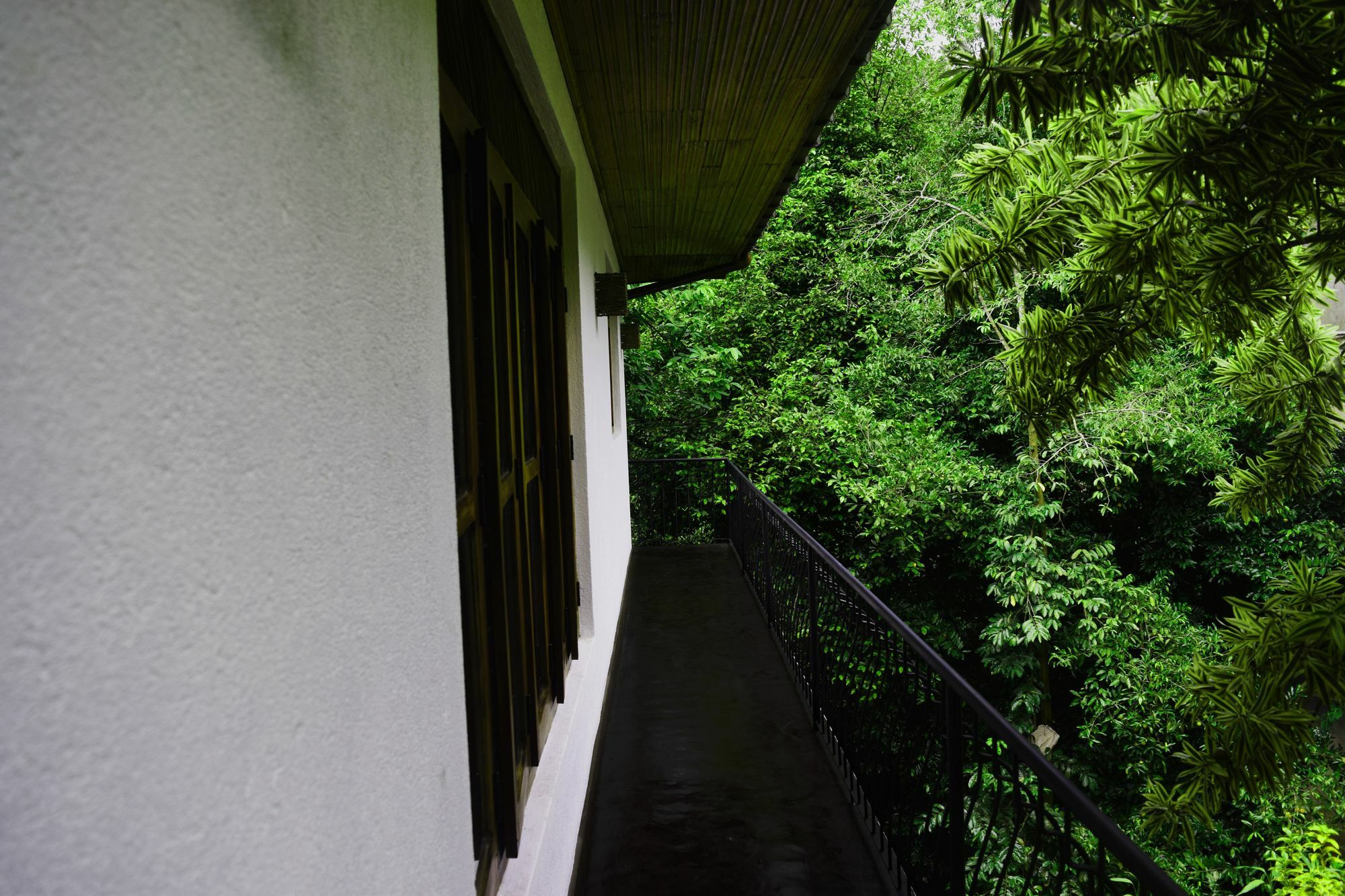 Avaana By Springhills Hotell Kandy Eksteriør bilde