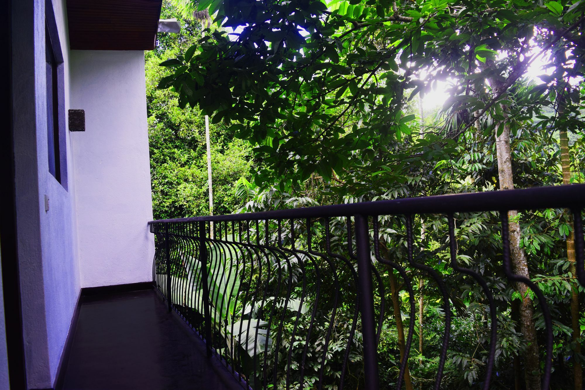 Avaana By Springhills Hotell Kandy Eksteriør bilde