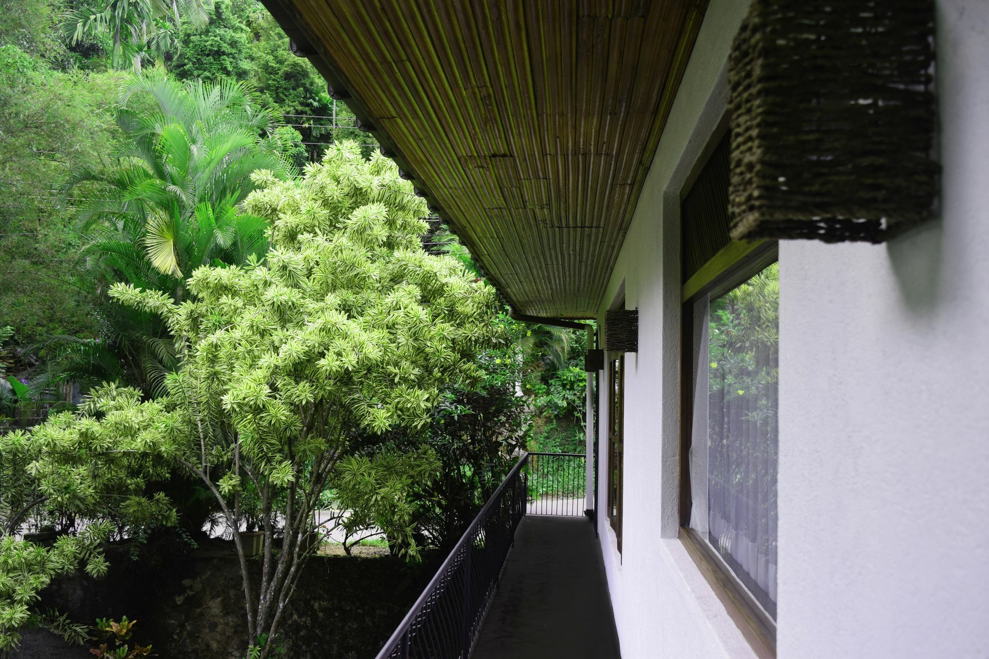 Avaana By Springhills Hotell Kandy Eksteriør bilde